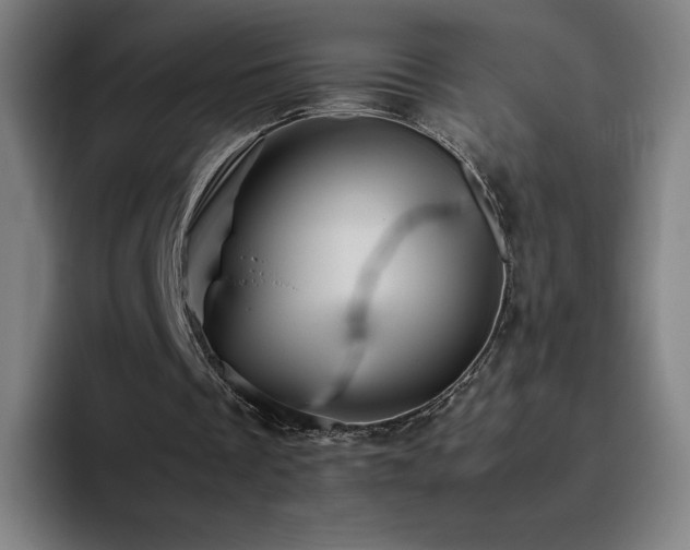 X0000094780289200711161421