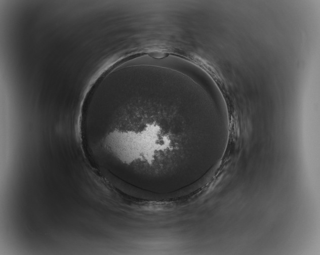 X0000094780292200711161421