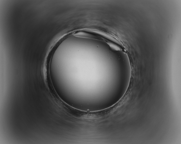 X0000094780294200711161421