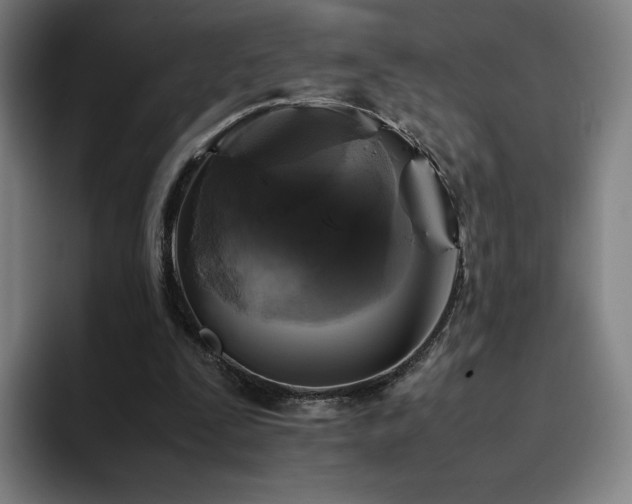 X0000094780295200711161421