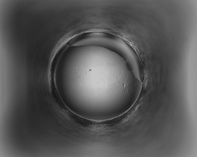 X0000094780296200711161421