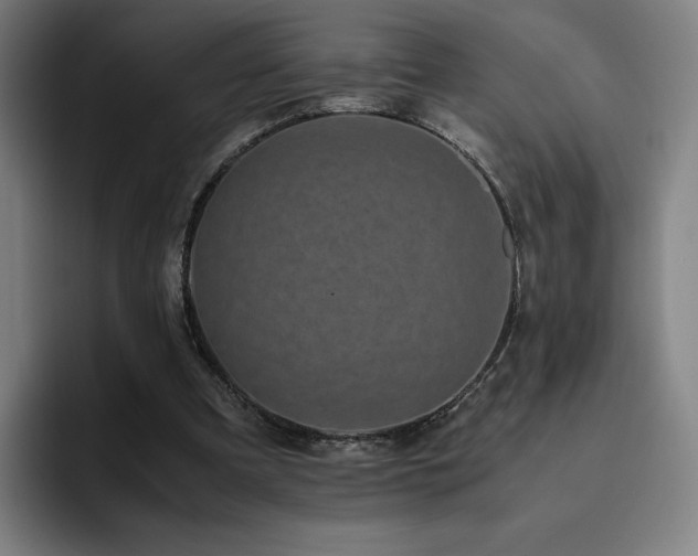 X0000094780297200711161421