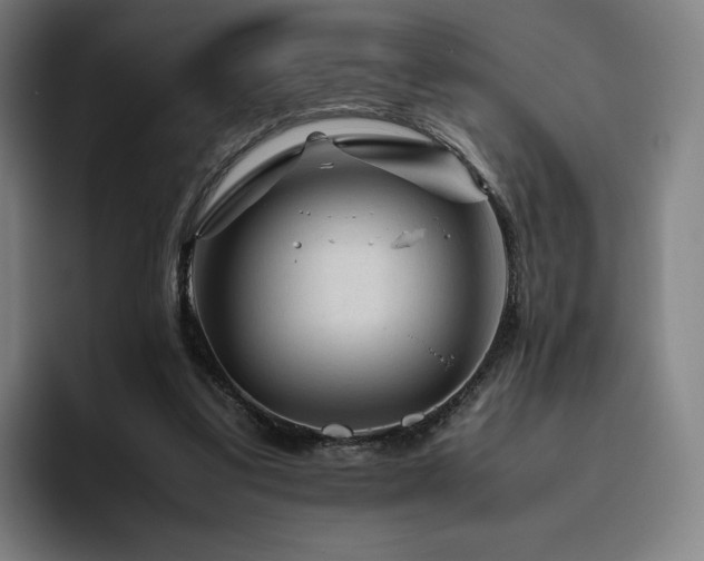X0000094780299200711161421