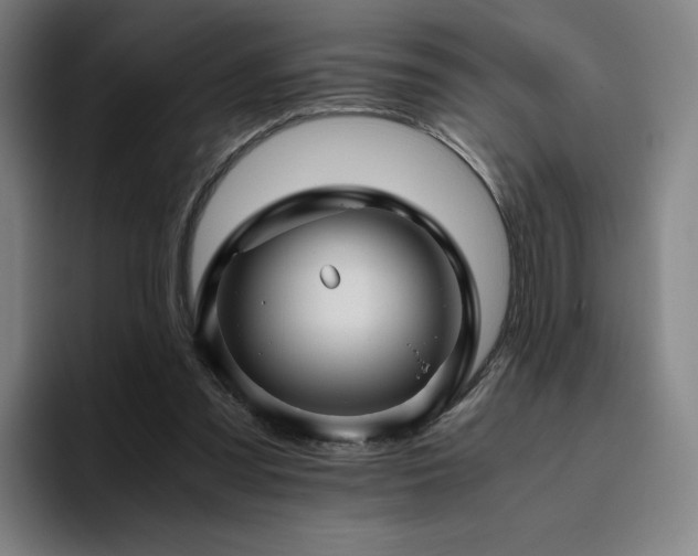 X0000094780301200711161421