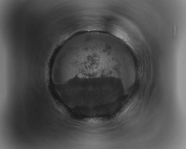 X0000094780303200711161421