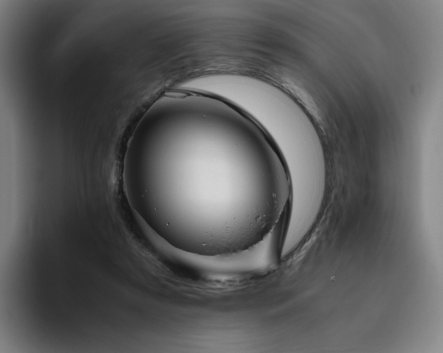 X0000094780305200711161421