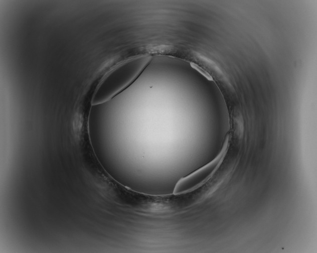 X0000094780308200711161421