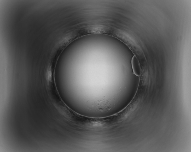 X0000094780310200711161421