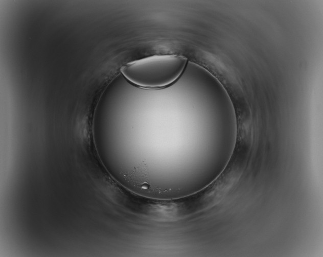 X0000094780317200711161421