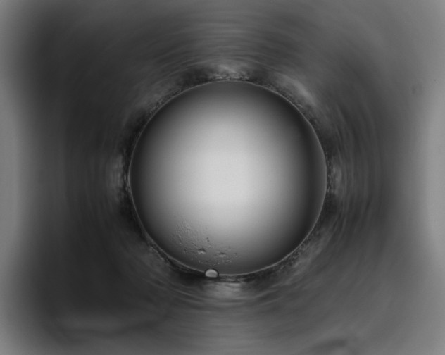 X0000094780318200711161421