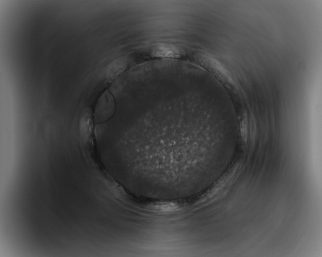 X0000094780322200711161421