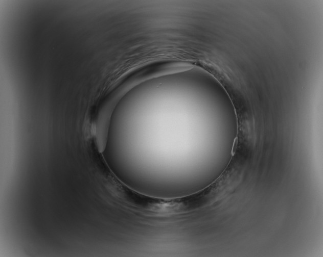 X0000094780323200711161421