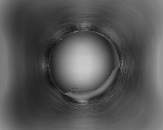 X0000094780324200711161421