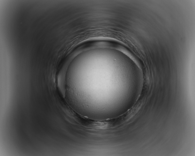 X0000094780328200711161421