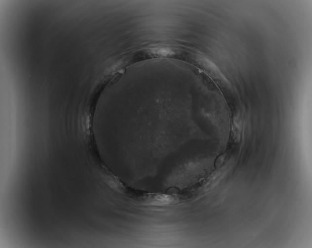 X0000094780330200711161421