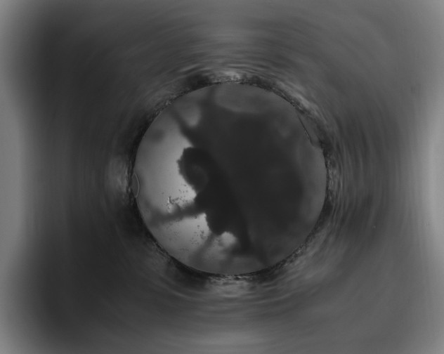 X0000094780331200711161421