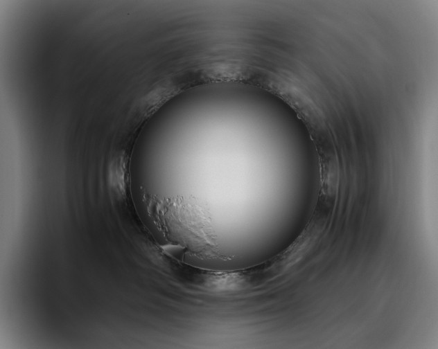 X0000094780334200711161421