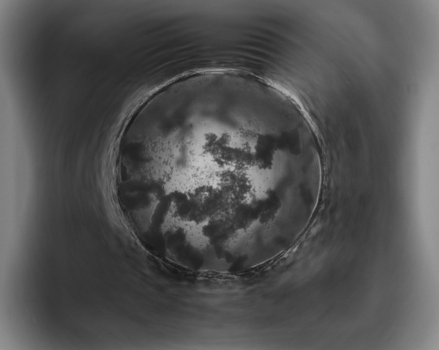 X0000094780337200711161420