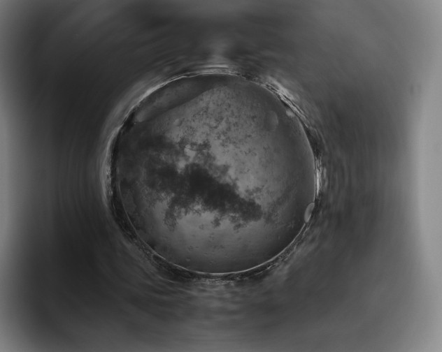 X0000094780339200711161420