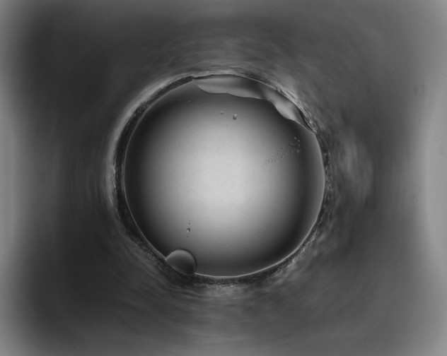 X0000094780342200711161420