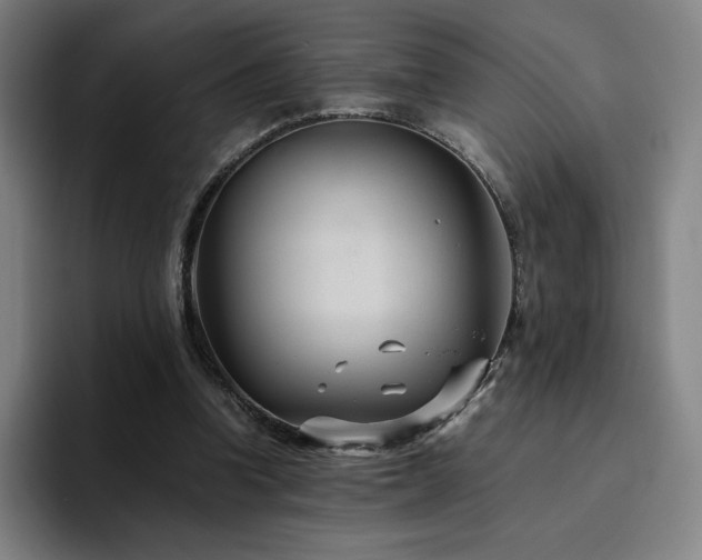 X0000094780346200711161420