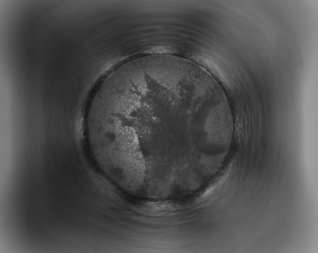 X0000094780351200711161420
