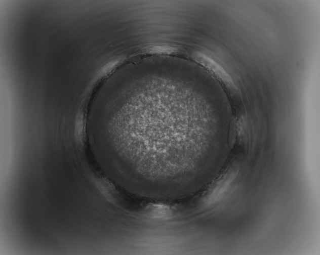 X0000094780352200711161420