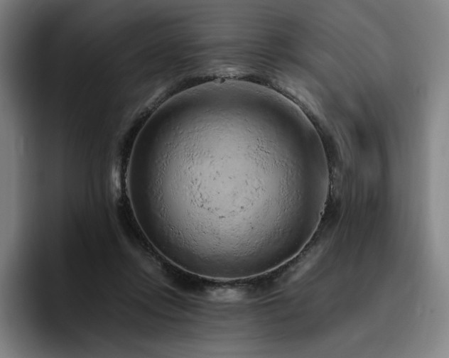 X0000094780358200711161420