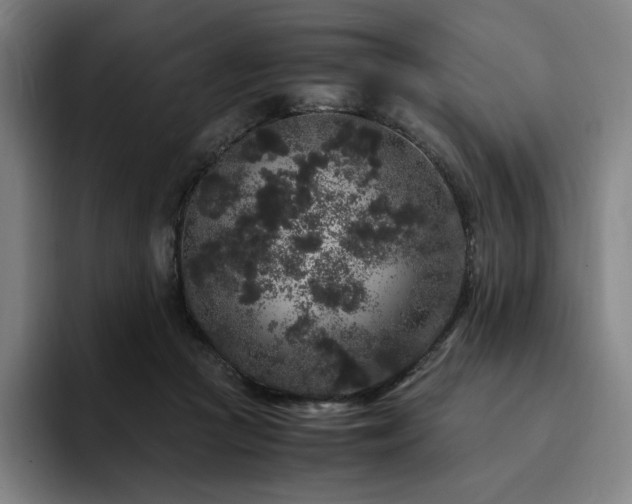 X0000094780361200711161420