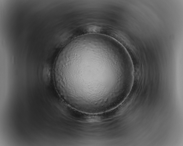 X0000094780363200711161420