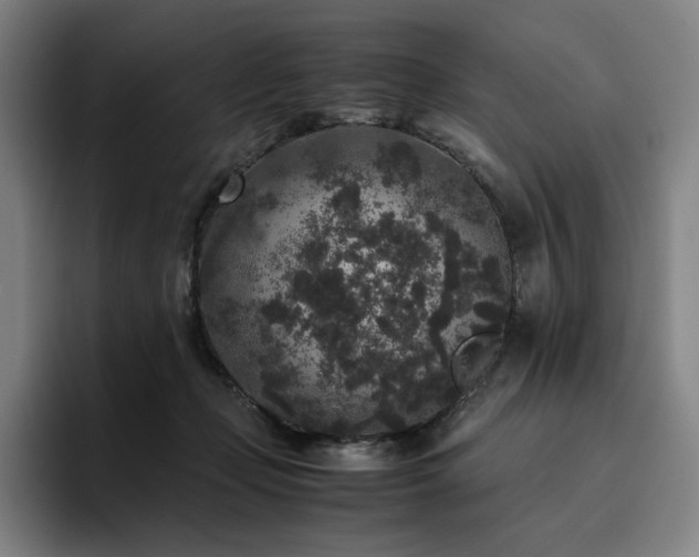 X0000094780365200711161420