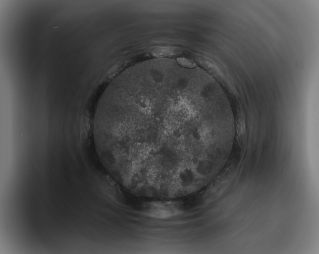X0000094780367200711161421