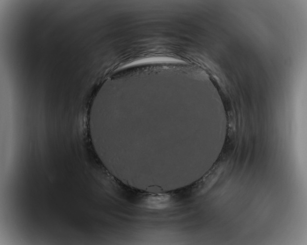 X0000094780369200711161421