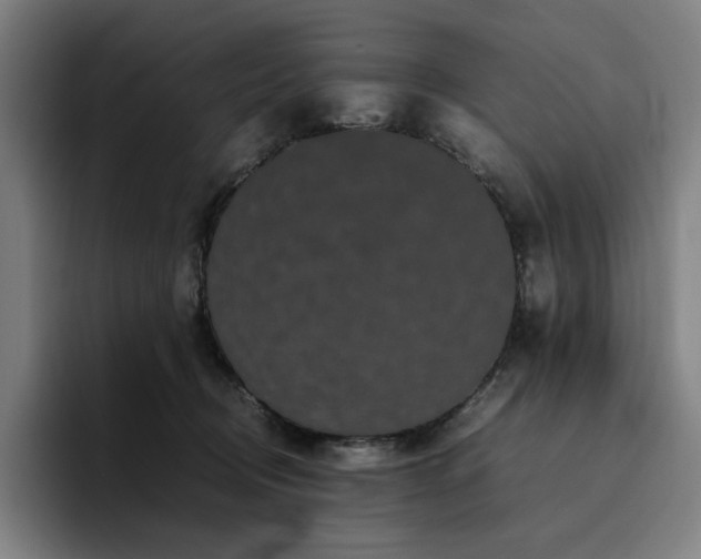 X0000094780370200711161421