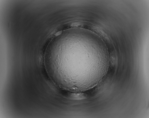 X0000094780375200711161421