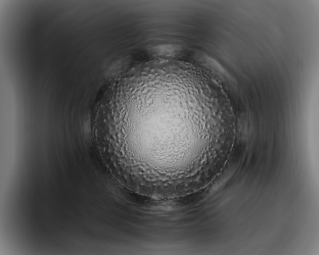 X0000094780377200711161421