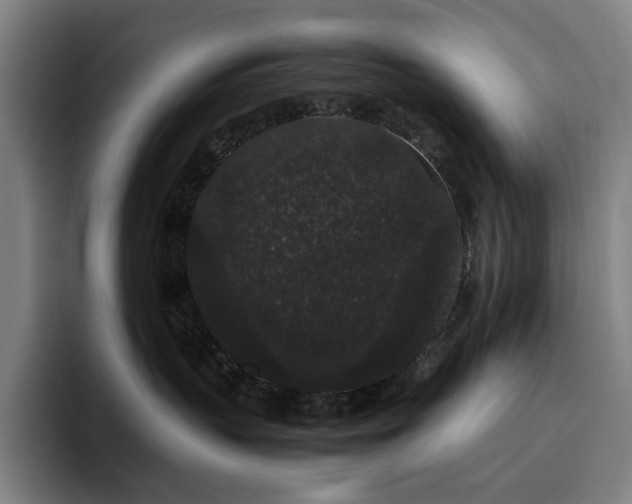 X0000094780383200711161421