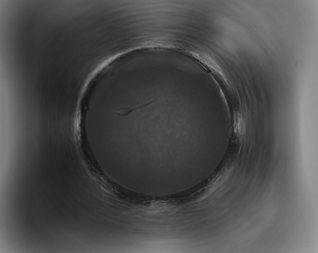 X0000094780388200711161420
