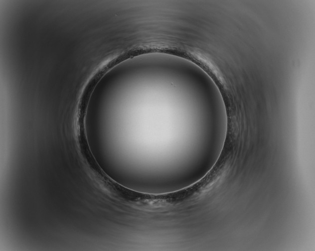 X0000094780395200711161420