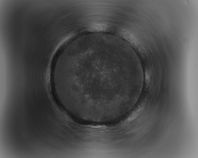 X0000094780396200711161420