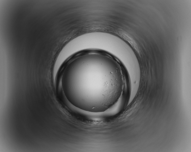 X0000094780401200711161420
