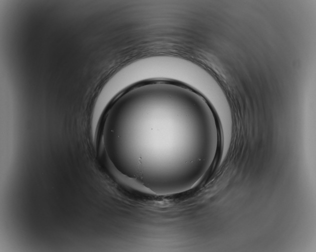 X0000094780411200711161420