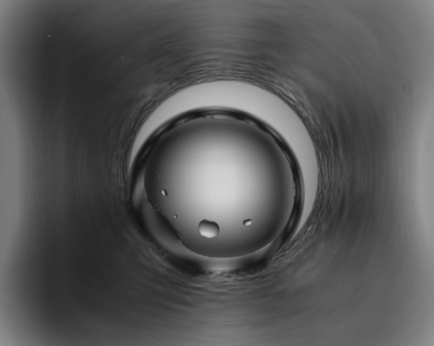 X0000094780423200711161420