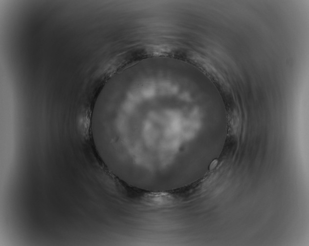 X0000094780427200711161420