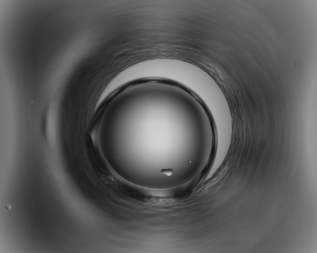 X0000094780429200711161420