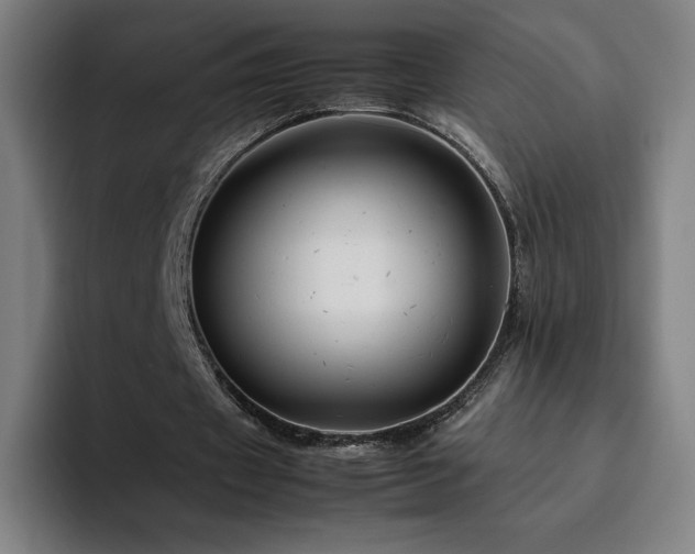 X0000094780433200711161419