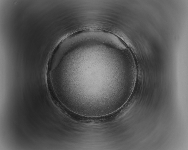 X0000094780434200711161419