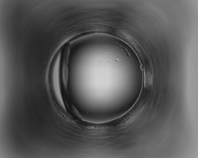 X0000094780435200711161419