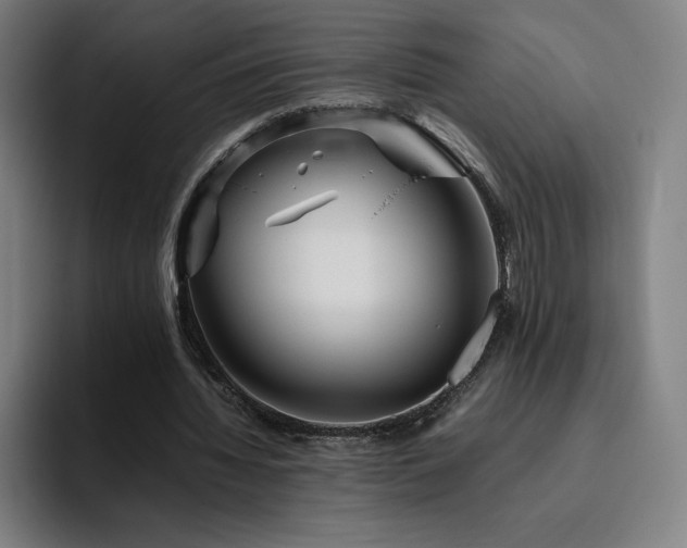 X0000094780436200711161419