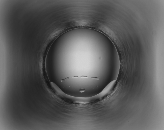 X0000094780442200711161419